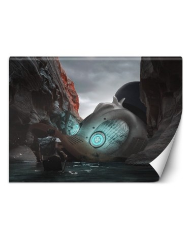Modern wall murals - Duck Zehem Chong | FEEBY