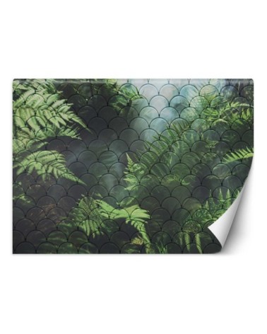 Modern wall murals - Fern leaves in the mist | FEEBY
