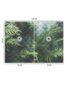 Nowoczesne fototapety - Liście paproci we mgle | FEEBY