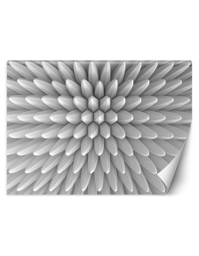 Fototapeta z efektem głębi - Abstrakcja kolce tekstura 3D | FEEBY