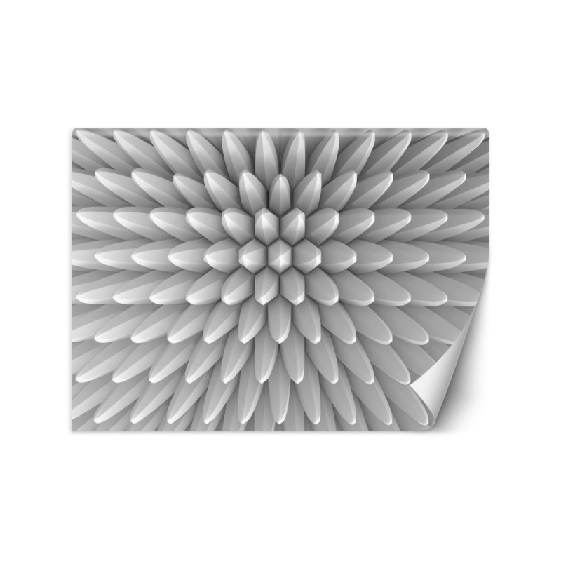 Fototapeta z efektem głębi - Abstrakcja kolce tekstura 3D | FEEBY
