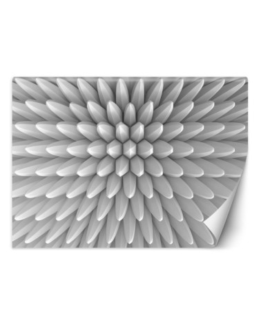 Fototapeta z efektem głębi - Abstrakcja kolce tekstura 3D | FEEBY