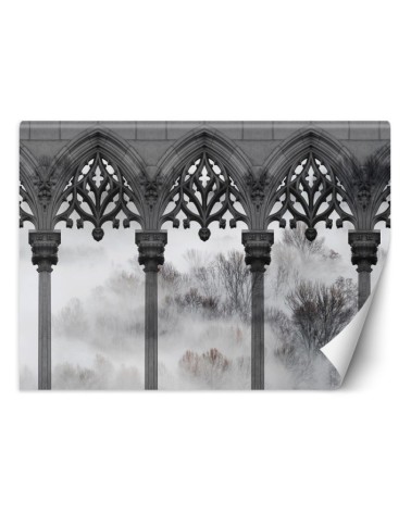 Exclusive wall murals - Trees Mist Pillars Black White | FEEBY