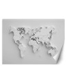 Fototapeta 3D - Biała mapa świata 3D | FEEBY