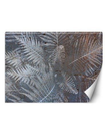 Exotic Wallpapers - Palm leaves on concrete | FEEBY