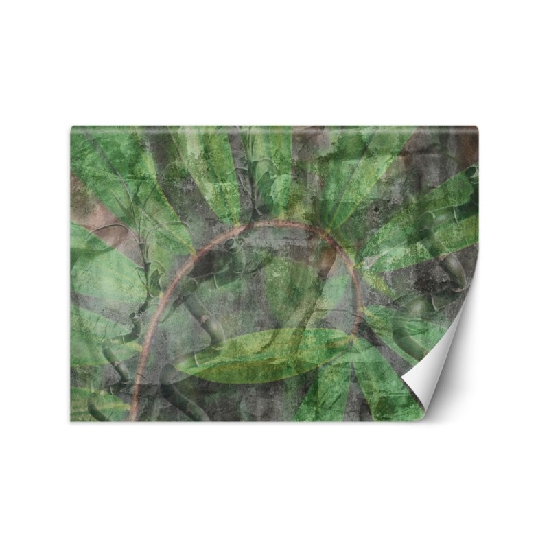 Nowoczesne fototapety - Tropikalne rośliny | FEEBY