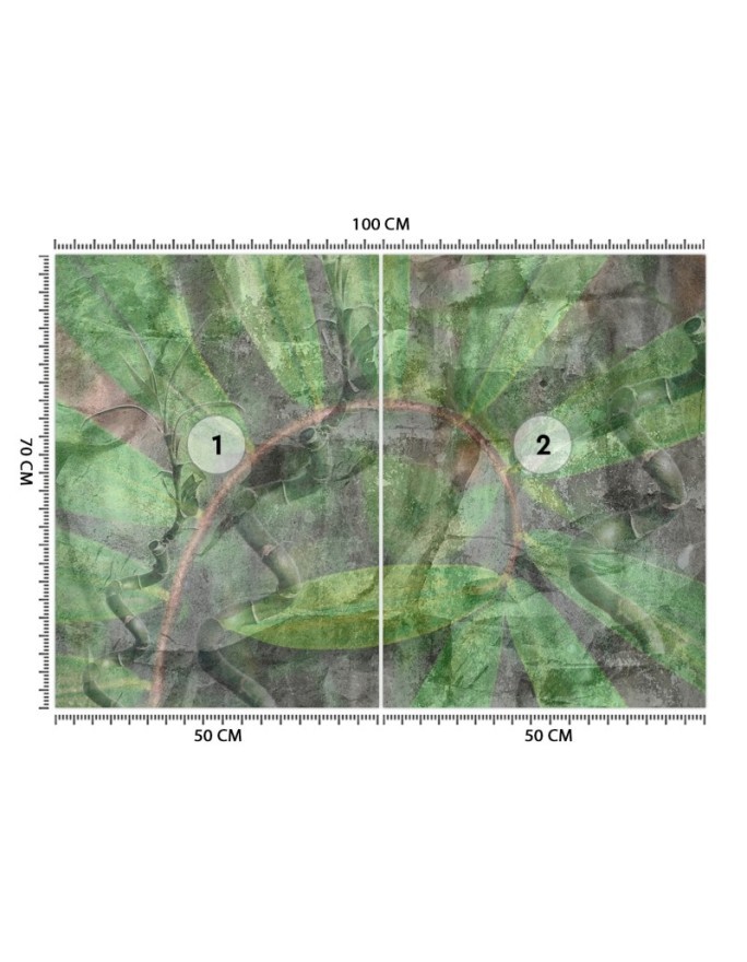 Nowoczesne fototapety - Tropikalne rośliny | FEEBY
