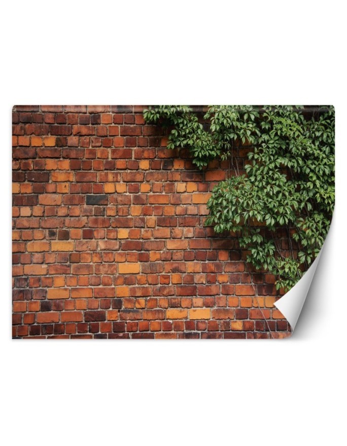 Fototapeta do salonu - Mur z cegły rośliny | FEEBY