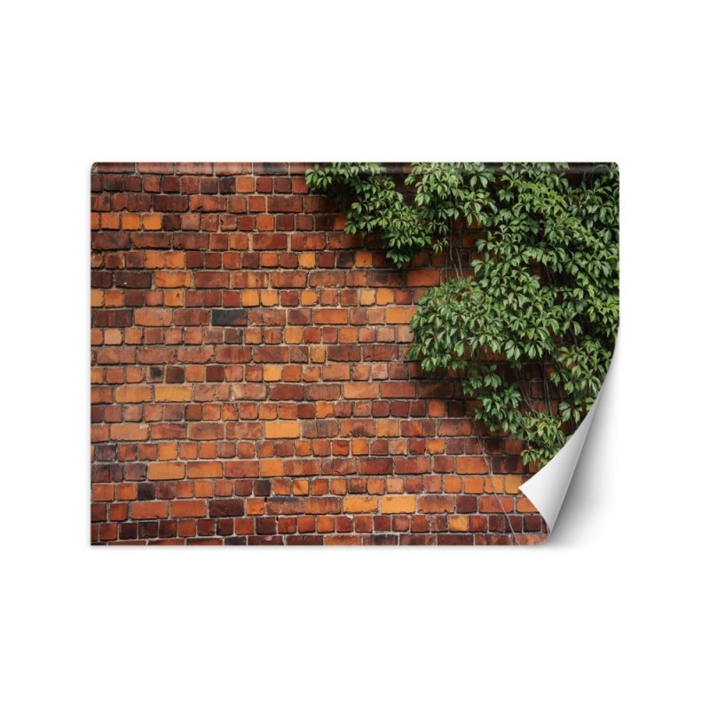 Fototapeta do salonu - Mur z cegły rośliny | FEEBY