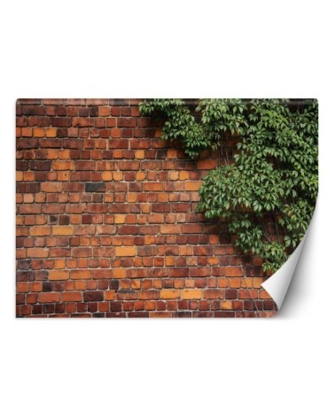 Living room wall mural - Plant brick wall | FEEBY