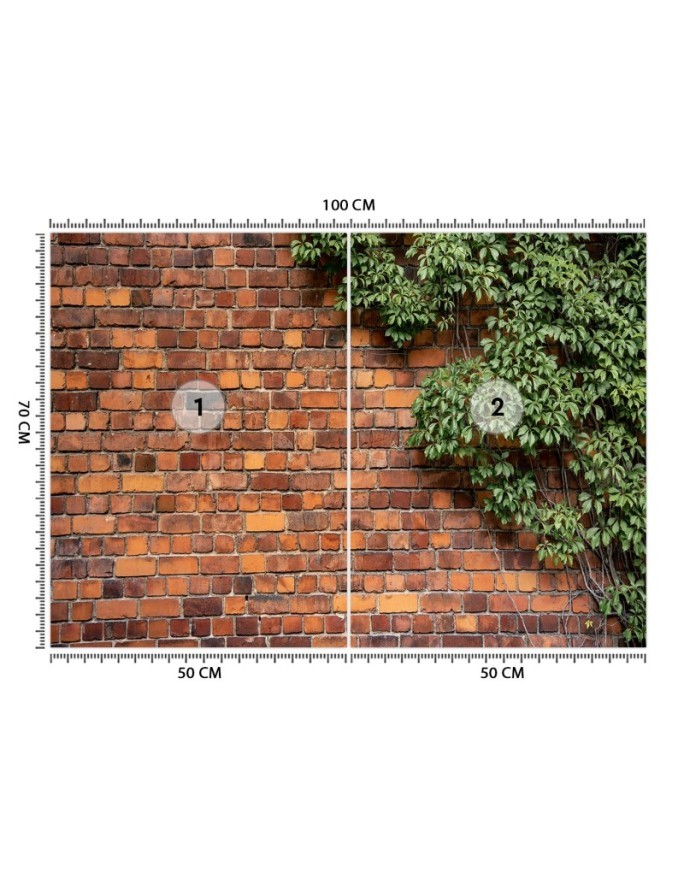 Fototapeta do salonu - Mur z cegły rośliny | FEEBY