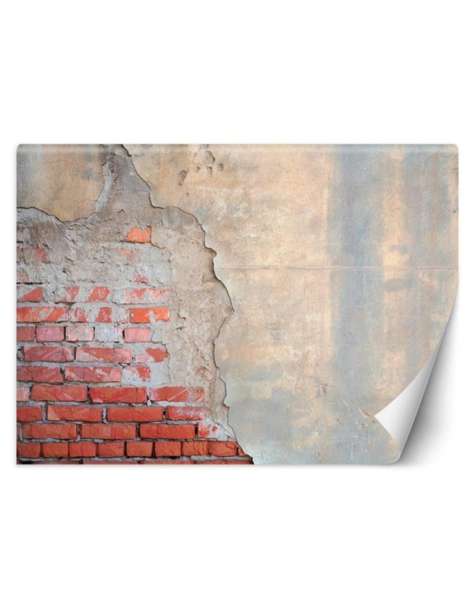 Fototapeta do salonu - Mur z cegły | FEEBY