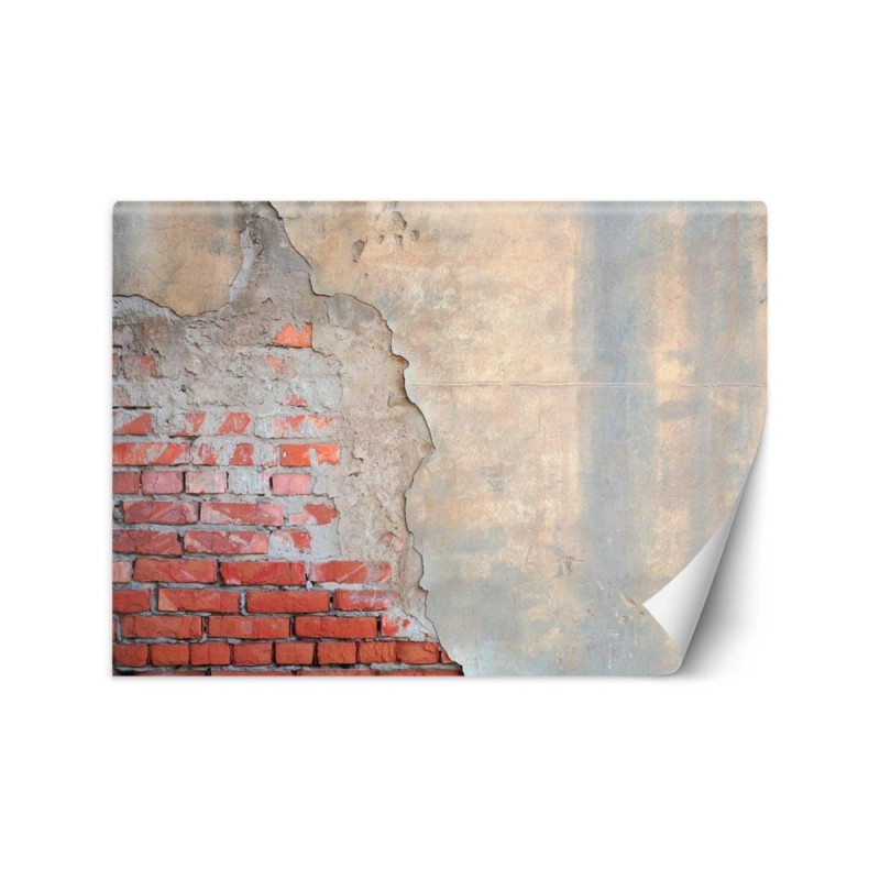 Fototapeta do salonu - Mur z cegły | FEEBY
