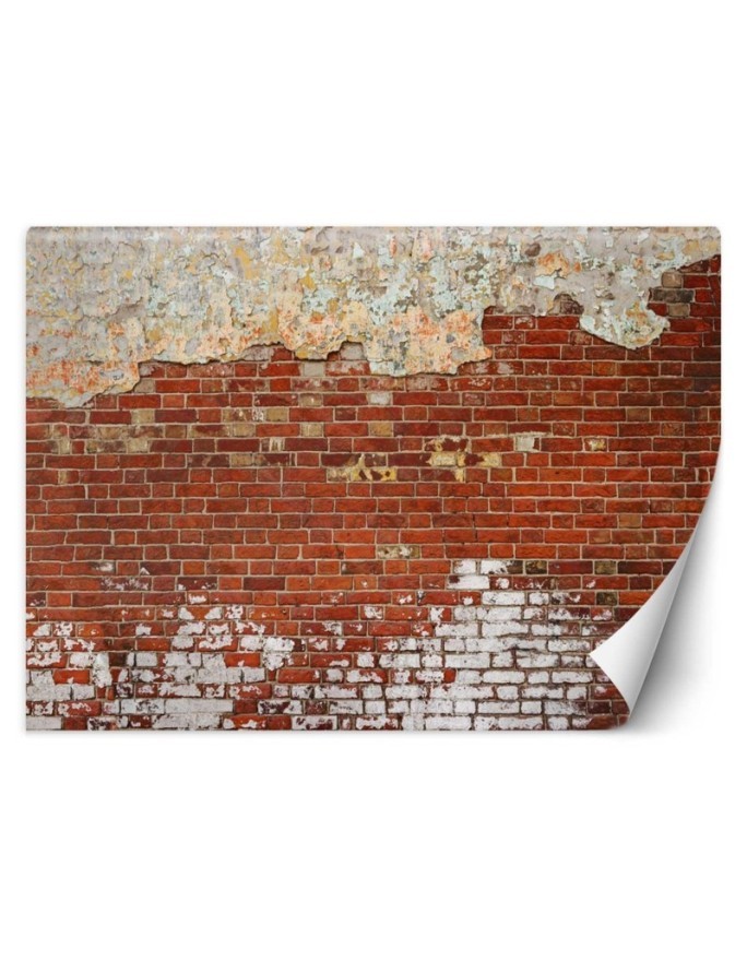Nowoczesne fototapety - Cegła mur | FEEBY