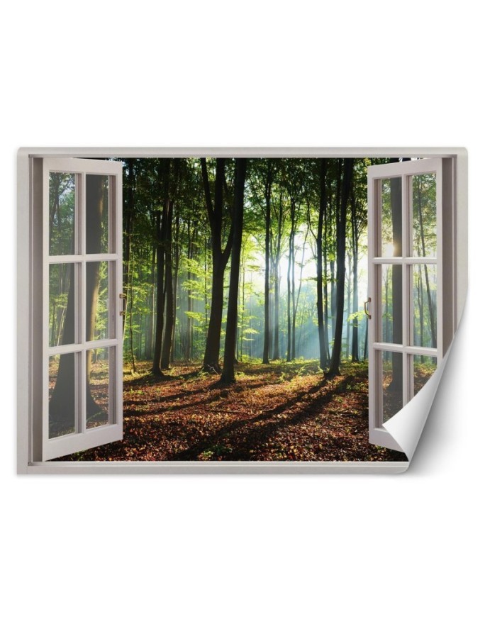 Nowoczesne fototapety - Okno las drzewa natura | FEEBY