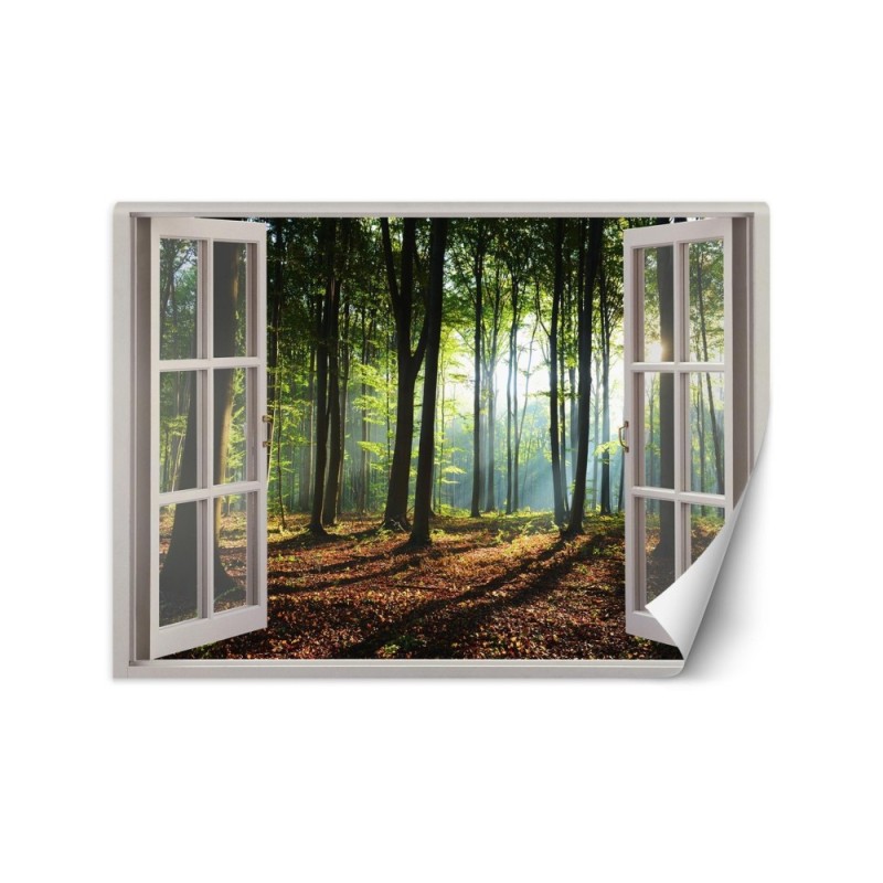 Nowoczesne fototapety - Okno las drzewa natura | FEEBY