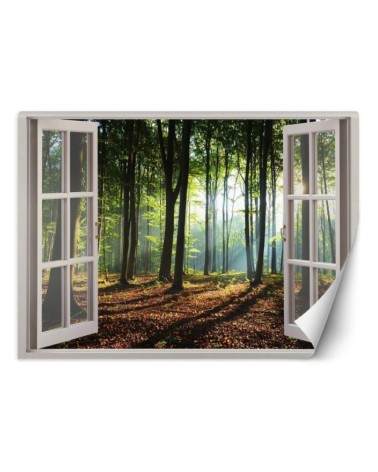 Modern Wallpapers - Window forest trees nature | FEEBY
