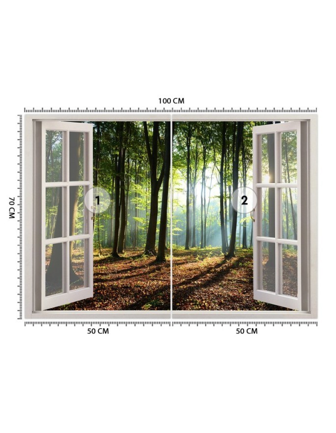 Nowoczesne fototapety - Okno las drzewa natura | FEEBY