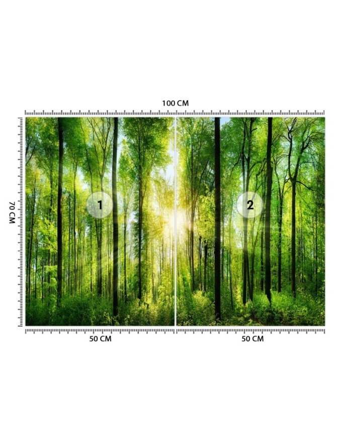 Piękne fototapety - Promienie słońca las natura | FEEBY