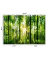 Piękne fototapety - Promienie słońca las natura | FEEBY