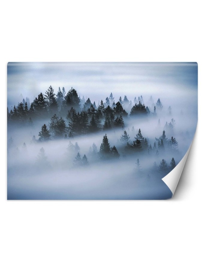Oryginalne fototapety - Las we mgle | FEEBY
