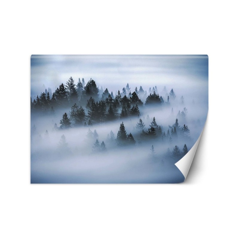 Oryginalne fototapety - Las we mgle | FEEBY