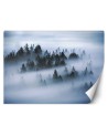 Oryginalne fototapety - Las we mgle | FEEBY