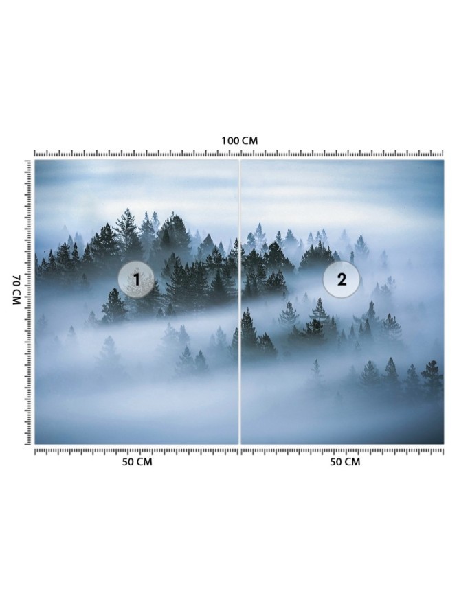 Oryginalne fototapety - Las we mgle | FEEBY