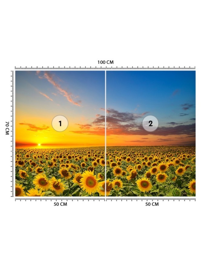 Fototapety do salonu - Pole słoneczników | FEEBY