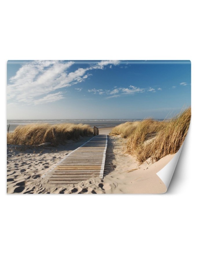 Piękne fototapety do salonu - Plaża morze wydmy | FEEBY