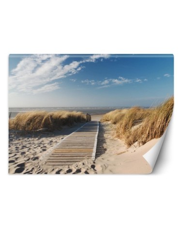 Beautiful Wallpapers for living room - Window view sea dunes | FEEBY