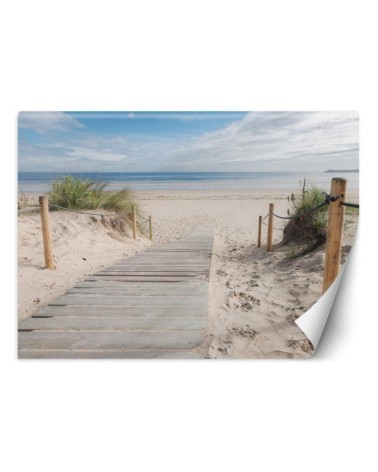 Original Wallpaper - Road to the beach landscape | FEEBY