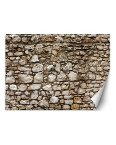 Texture wall murals - Stone wall | FEEBY