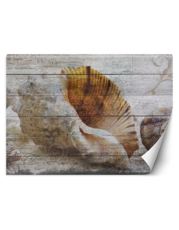 Piękne fototapety - Muszle w stylu vintage | FEEBY