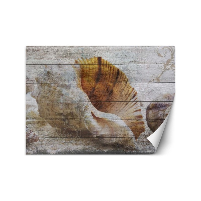 Piękne fototapety - Muszle w stylu vintage | FEEBY