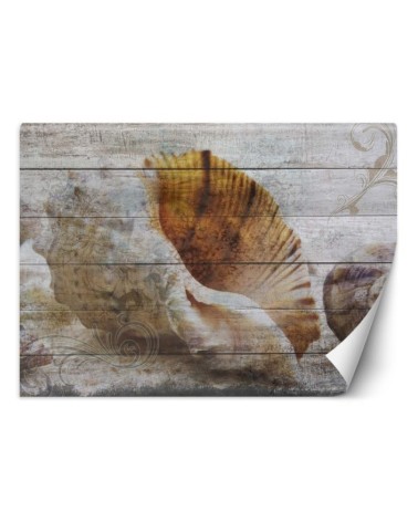 Piękne fototapety - Muszle w stylu vintage | FEEBY