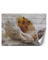 Piękne fototapety - Muszle w stylu vintage | FEEBY