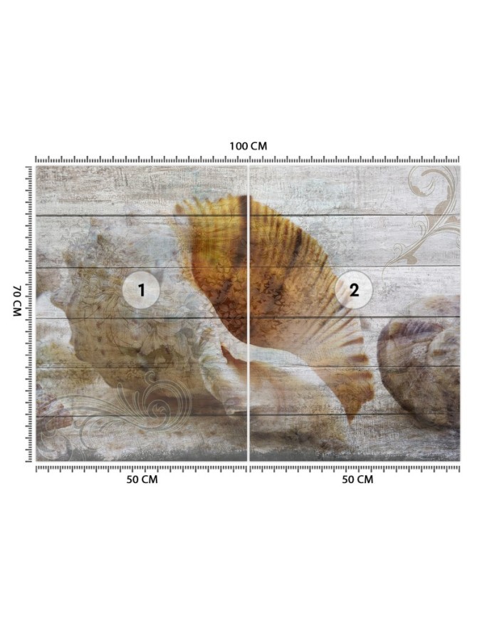 Piękne fototapety - Muszle w stylu vintage | FEEBY