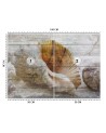 Piękne fototapety - Muszle w stylu vintage | FEEBY