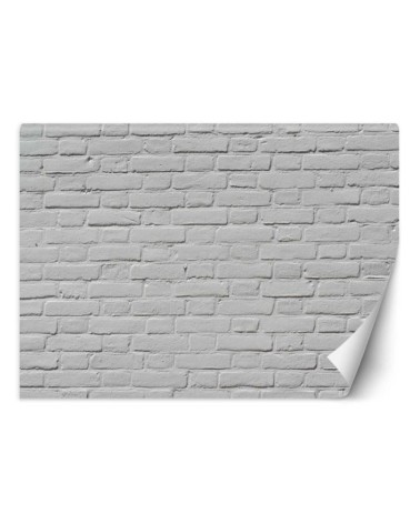 Texture wall murals - White brick wall | FEEBY