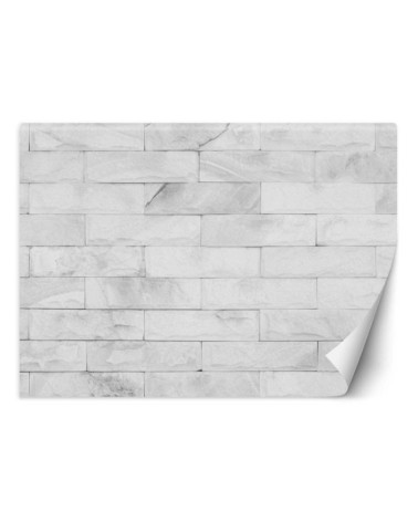 Texture wall murals - White brick wall | FEEBY