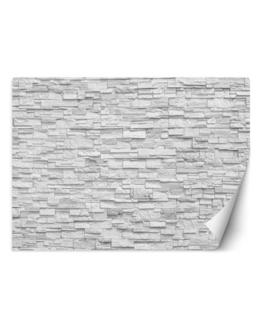 Modern wall mural - White brick wall | FEEBY