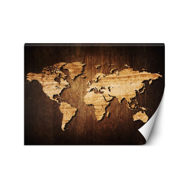 Elegant wall murals for the living room - World map on wood | FEEBY