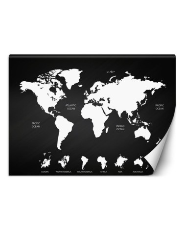 Inspirational wall murals - Black and white world map | FEEBY