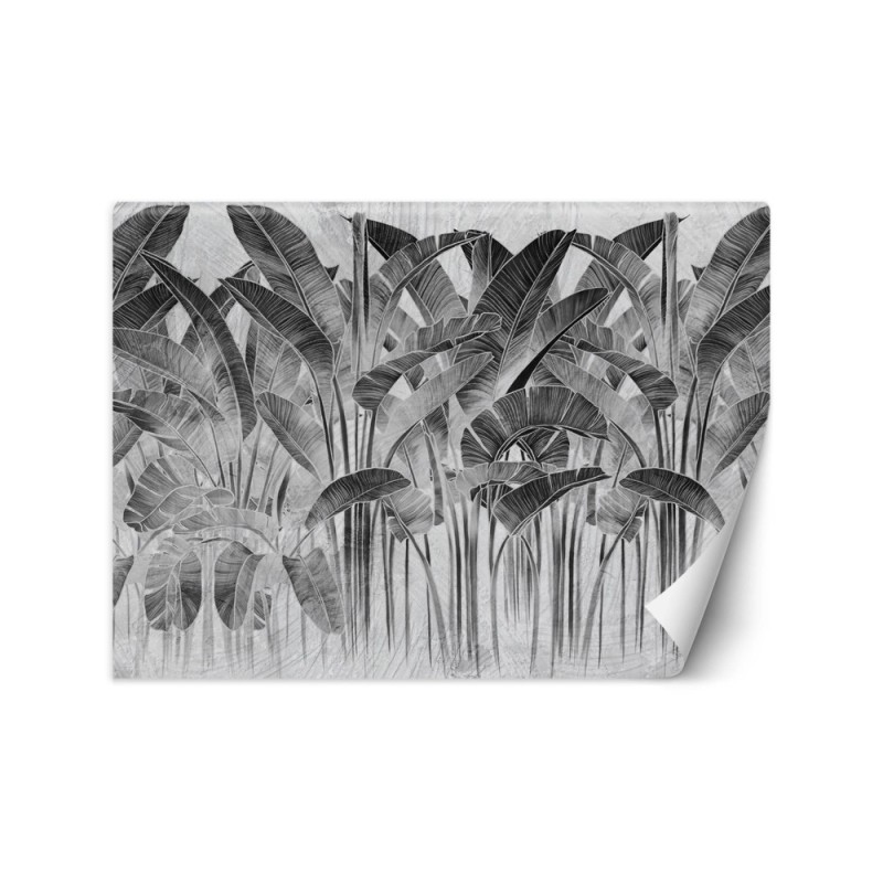 Inspirational wall mural - Banana leaves black and white lettering | FEEBY