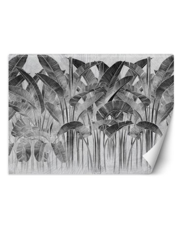 Inspirational wall mural - Banana leaves black and white lettering | FEEBY