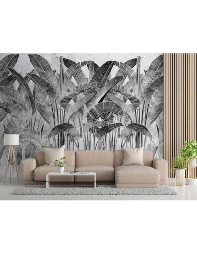 Inspirujące fototapety - Liście bananowca czarno białe | FEEBY