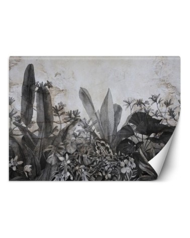 Tropical wall mural - Black and white tropical leaves on concrete background | FEEBY