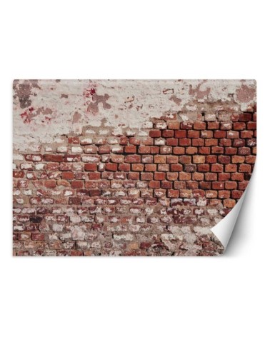 Texture wall murals - Old brick wall | FEEBY