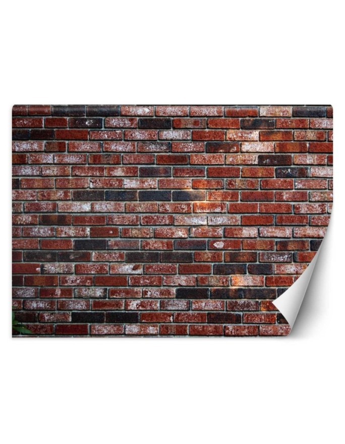 Fototapety tekstury na ścianę - Mur z czerwonej cegły | FEEBY